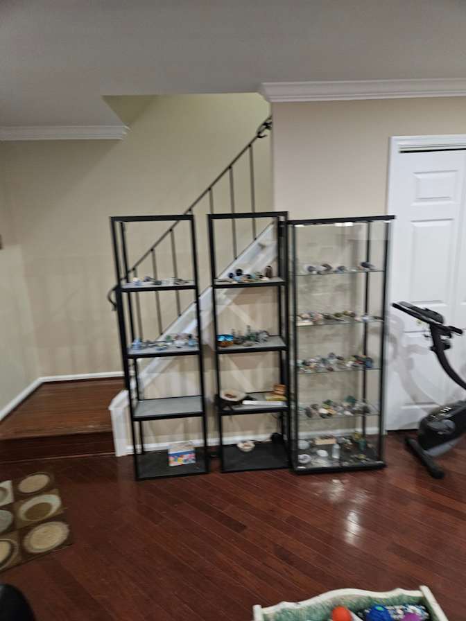 James Shock's room