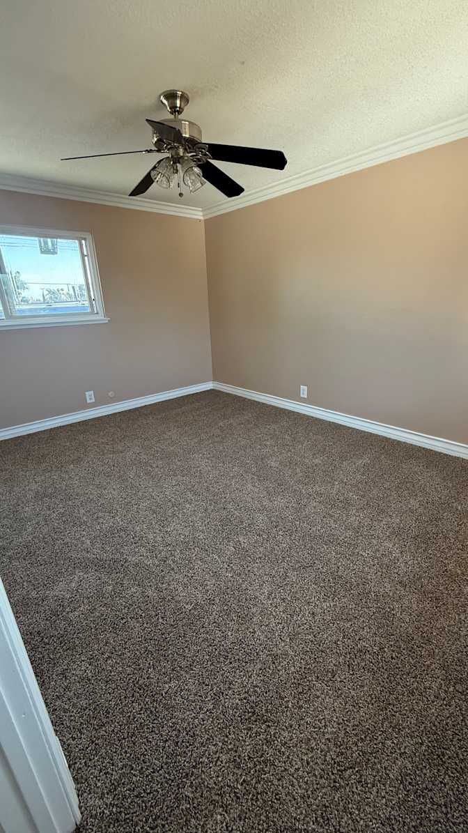 Allex Zieg's room