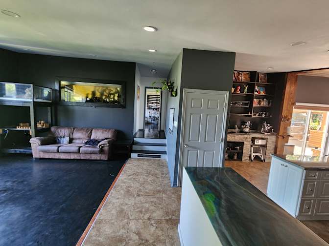 Patrick Vien's room