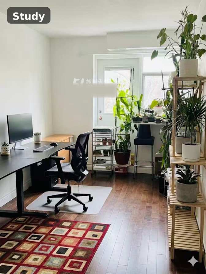 Eva's room