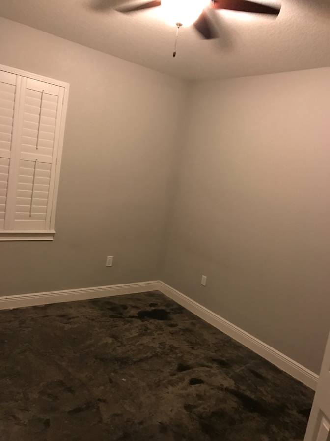 Frankie's room