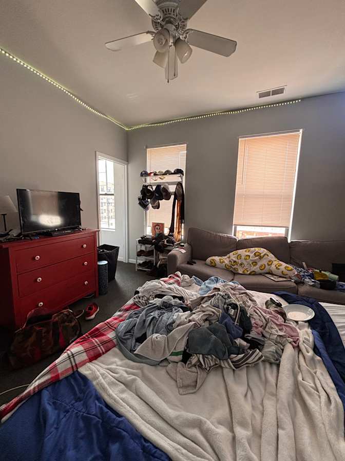 roohi's room