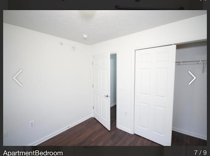 Harp's room