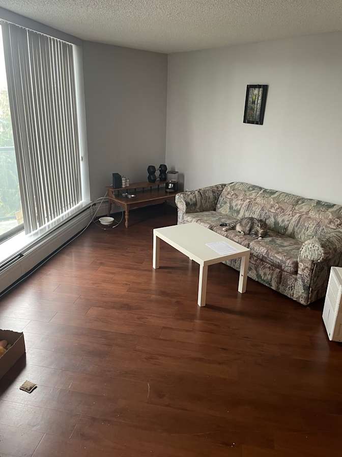 Brock's room