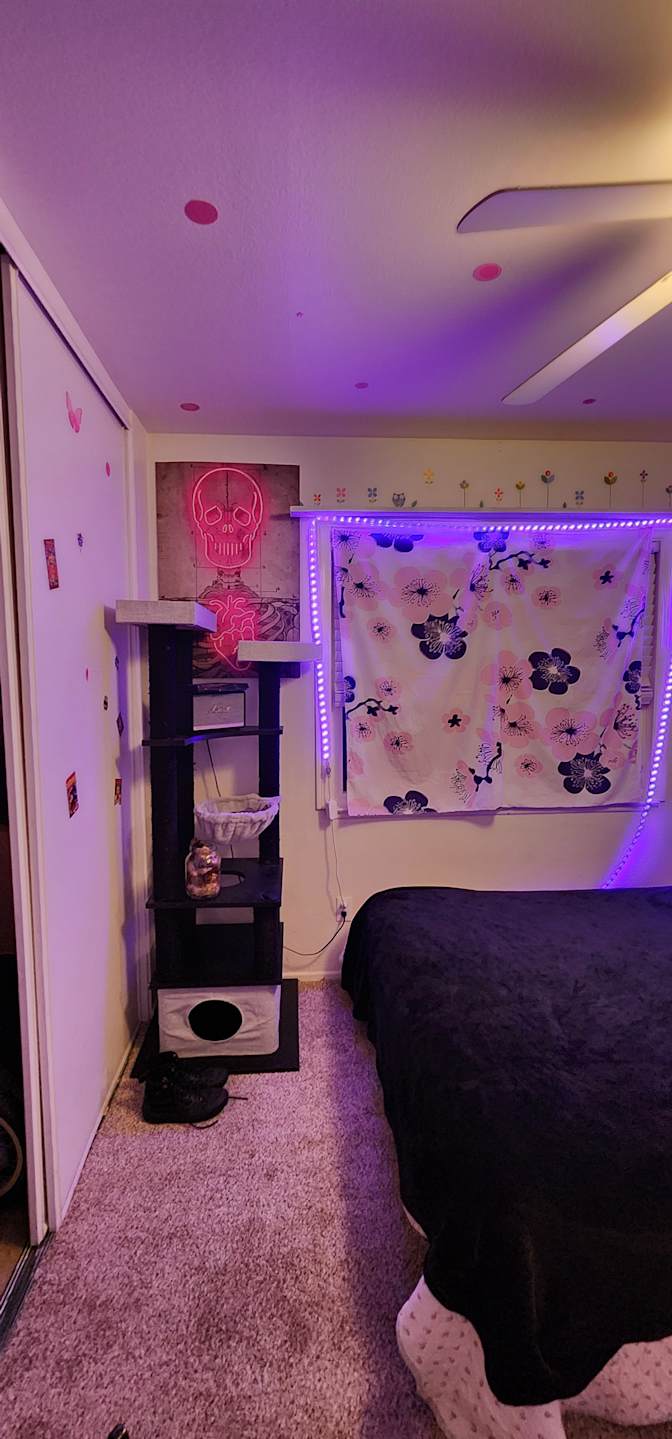 Tony's room