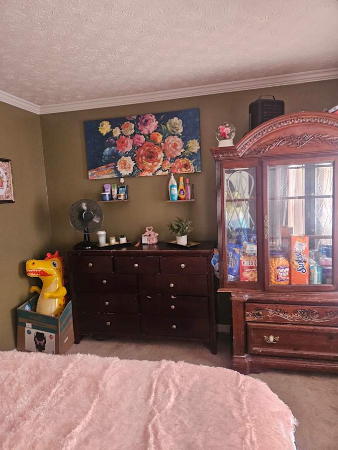 Latoya domeanell profit's room