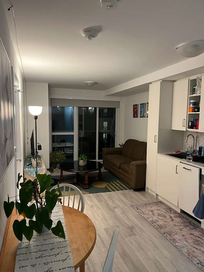 Hanneke de Roo's room