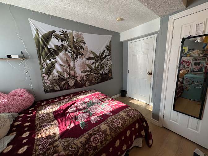 Hayley's room