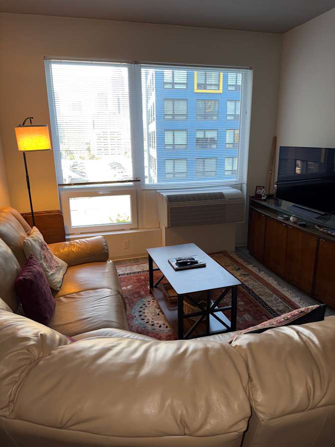 Mark Feldman's room