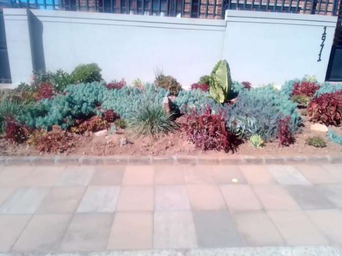 Mandisa Mokgata's room