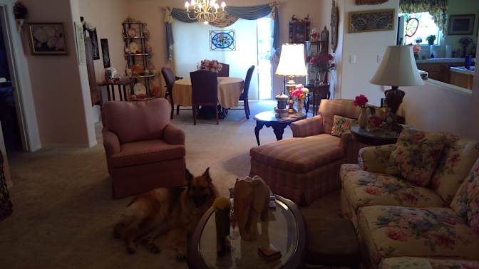 Susan's room