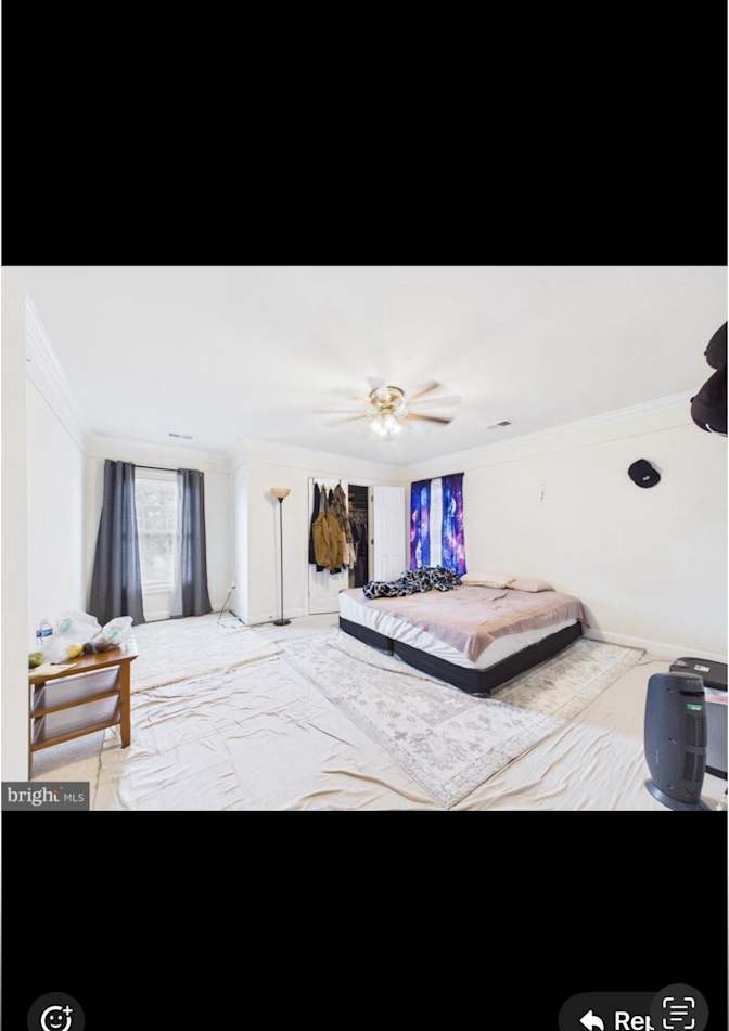 Mohammad's room