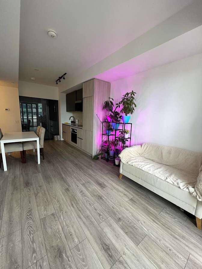 Kseniia's room