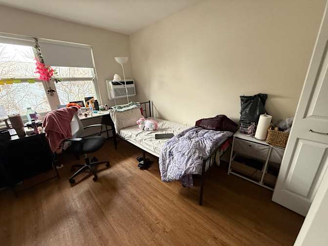 Ishwari Dhamdhere's room