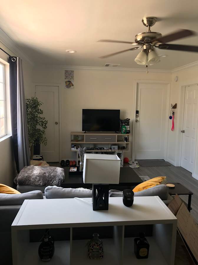 Meryn's room
