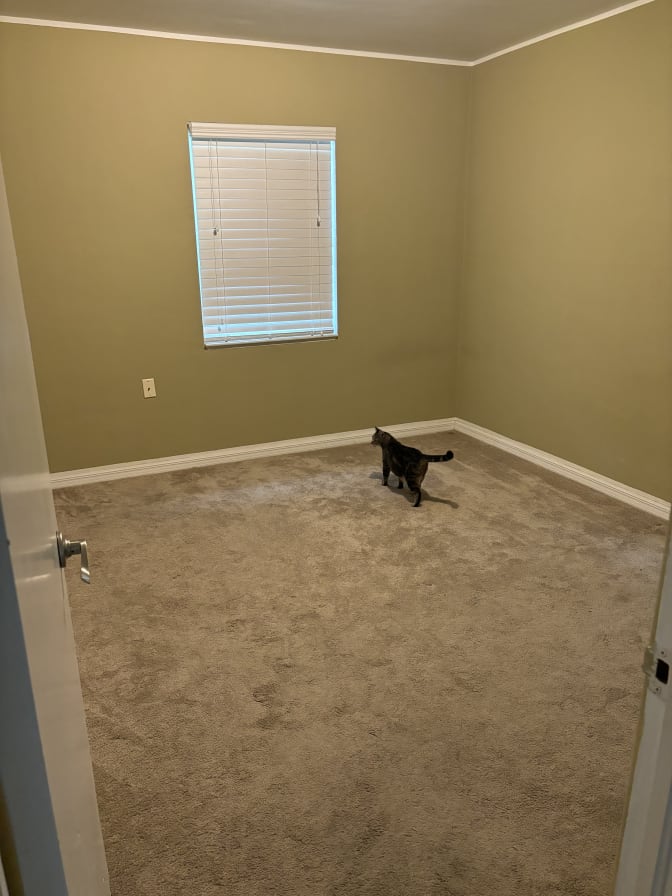 Sam's room