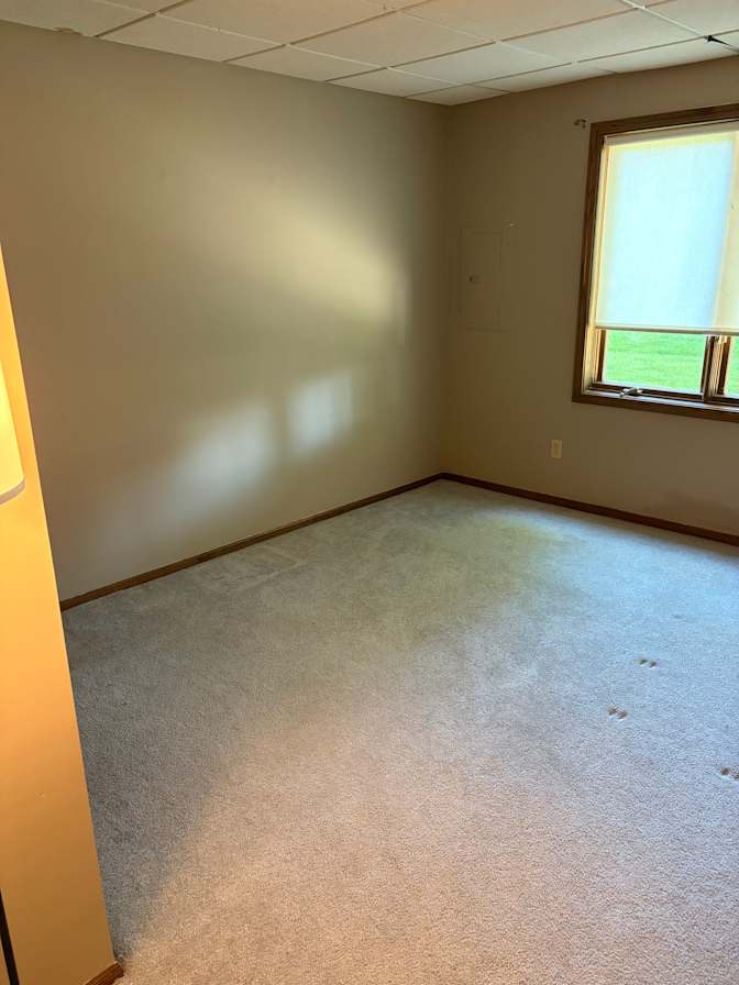 Andrea's room