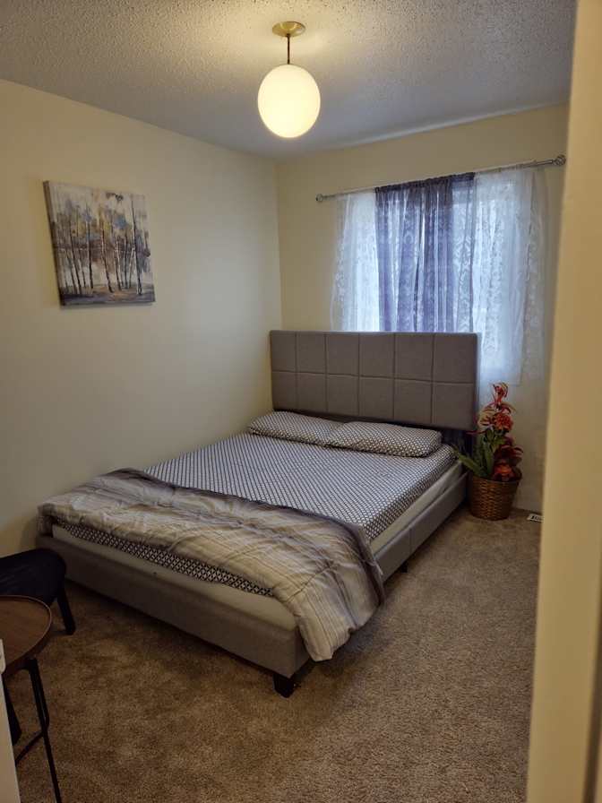 Nosheen's room