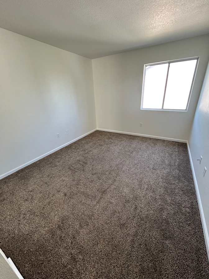 Zoie's room