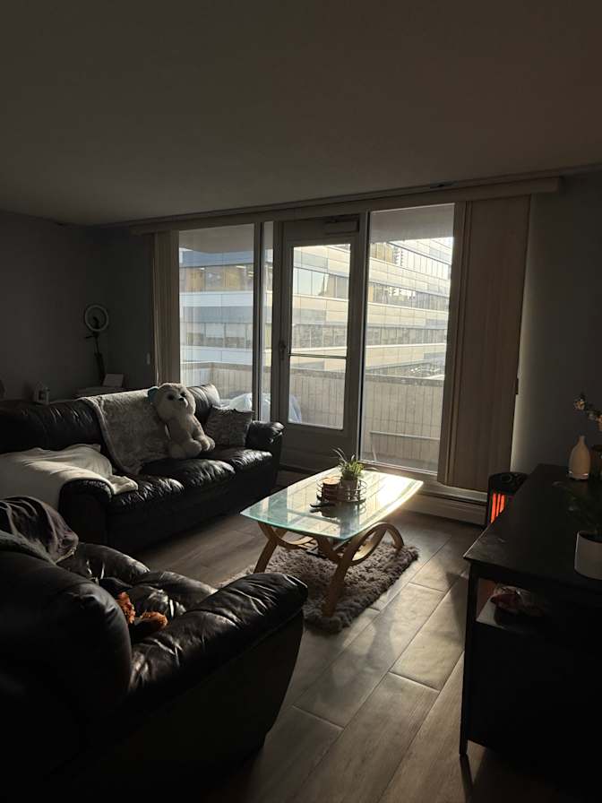 Jestisia's room