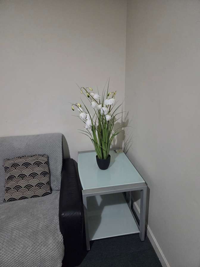 Ronita's room