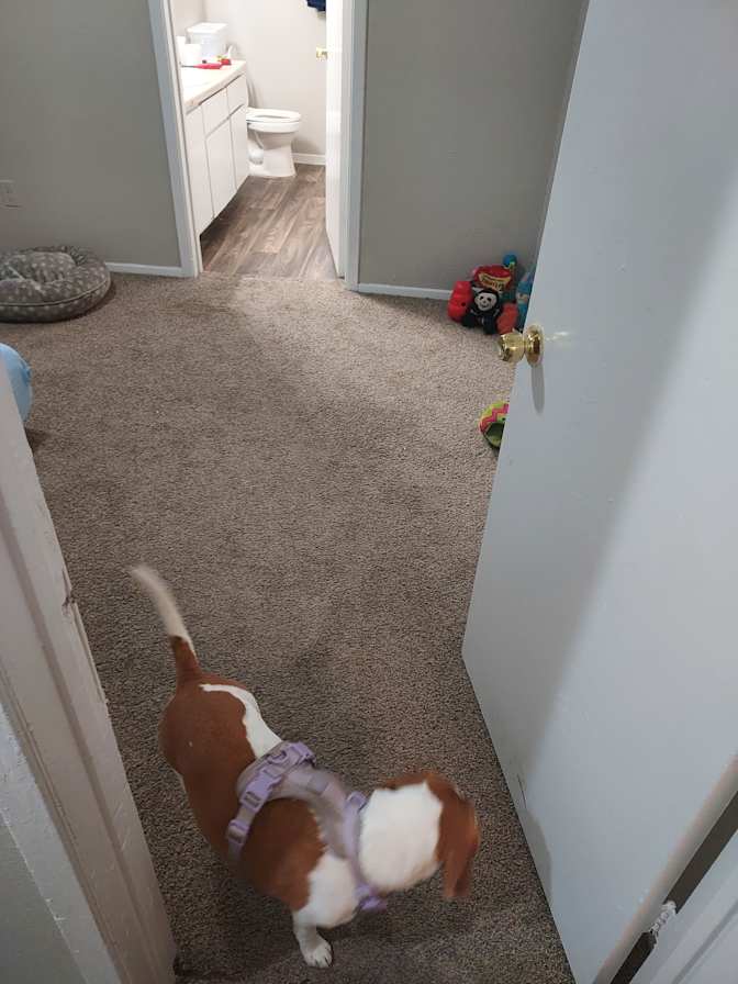 Jonathan's room