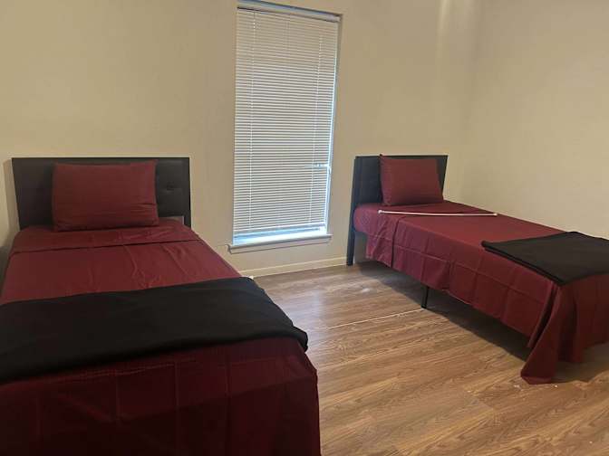 Flourishing Oasis's room
