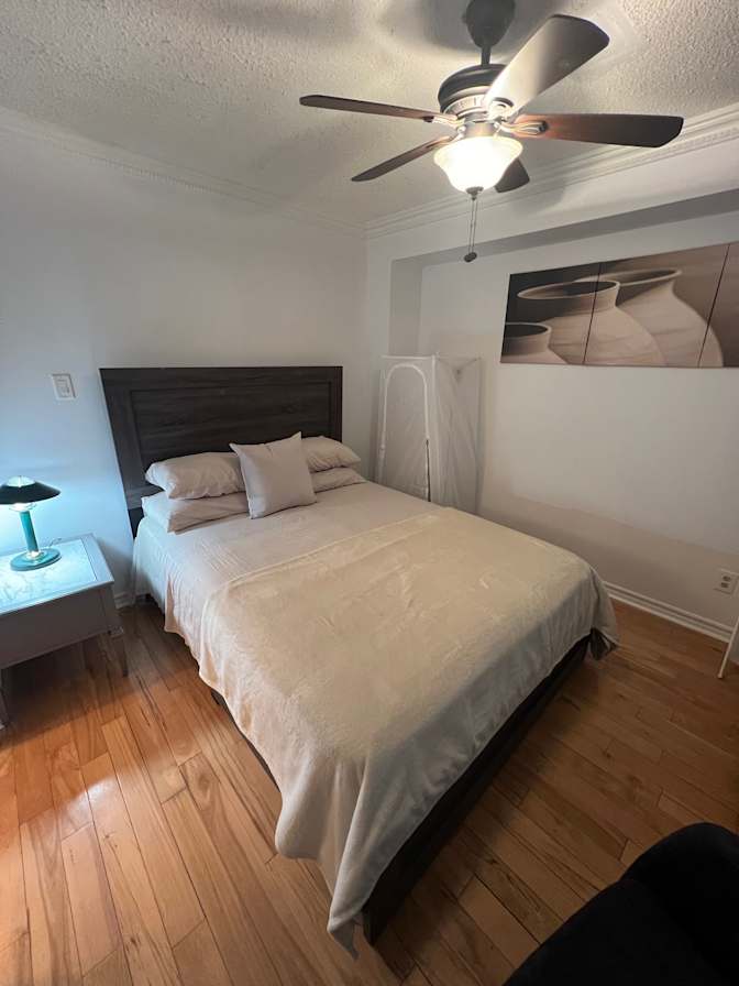 Stephanie McNeil's room