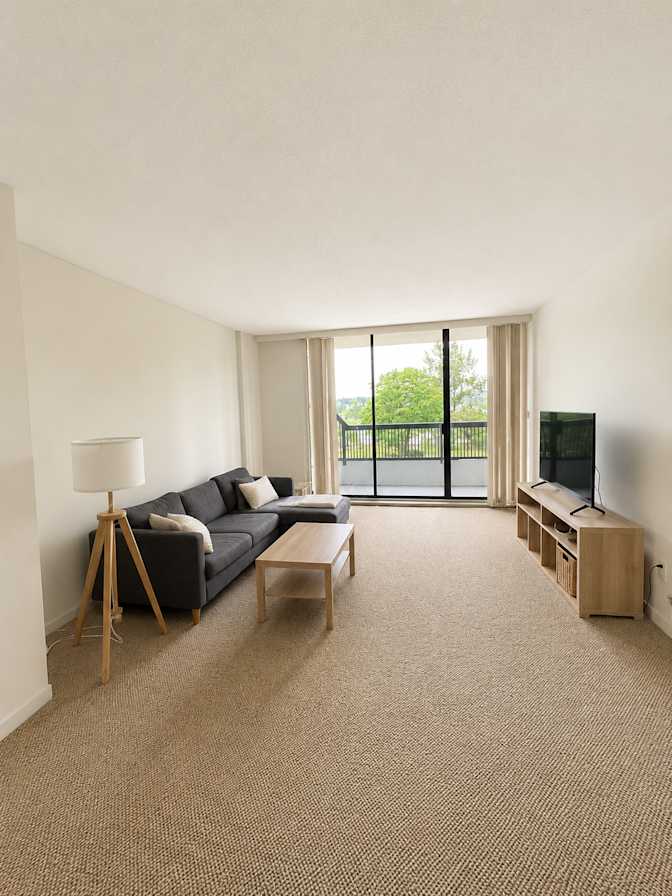 Saghi Asadi's room