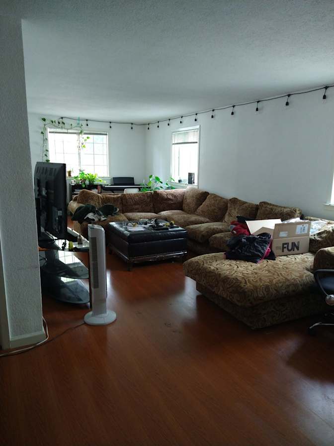 Mayra's room