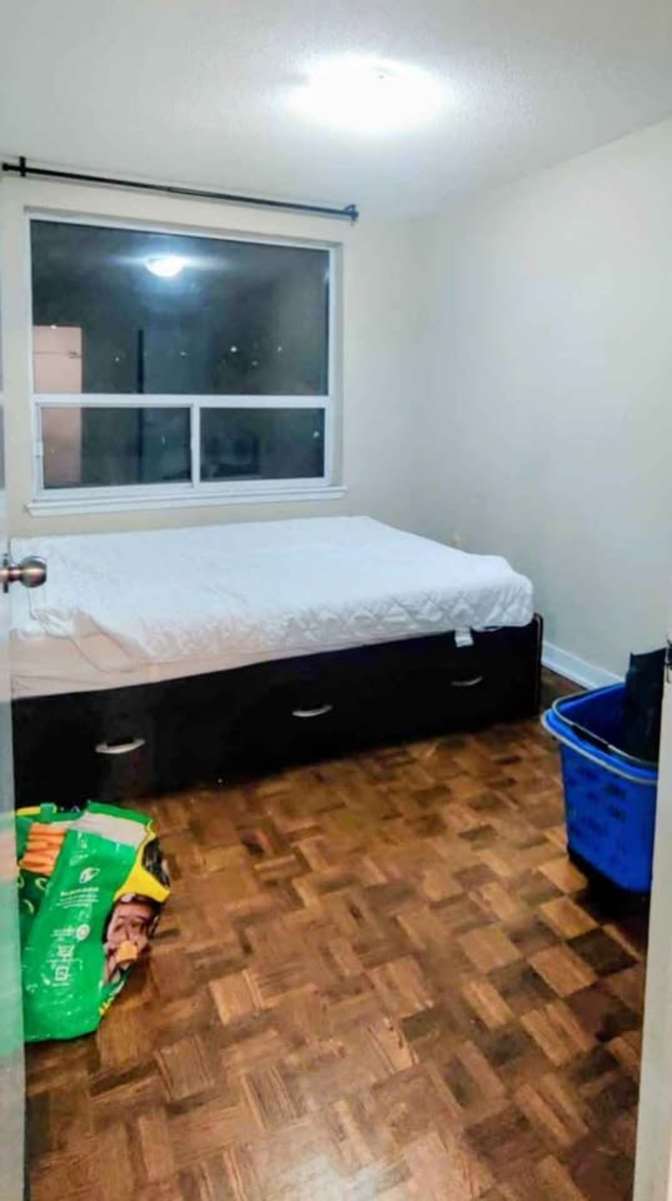 Sofia's room