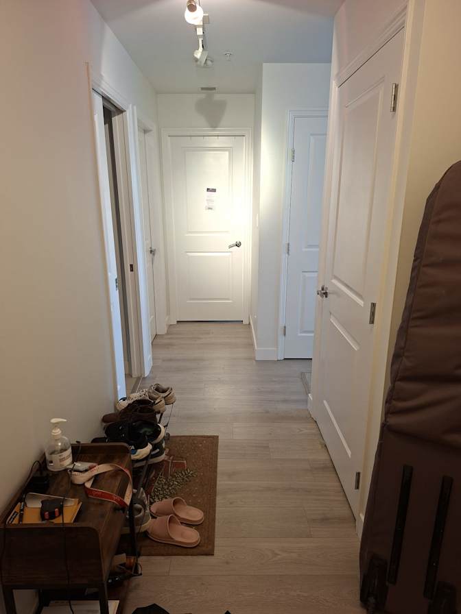 Tomer's room