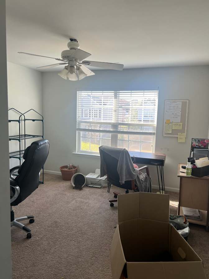 Liz's room
