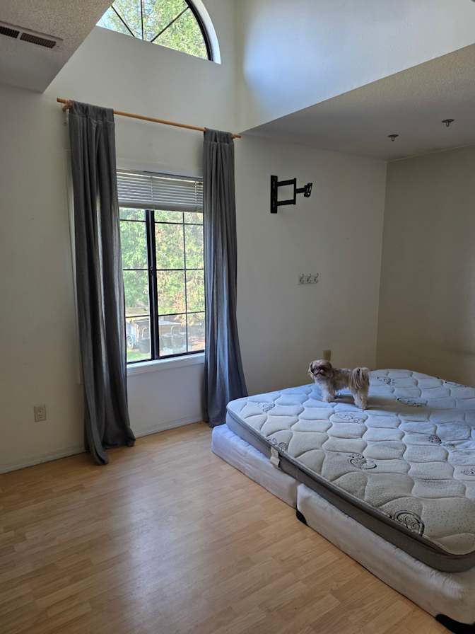 JoAnn's room