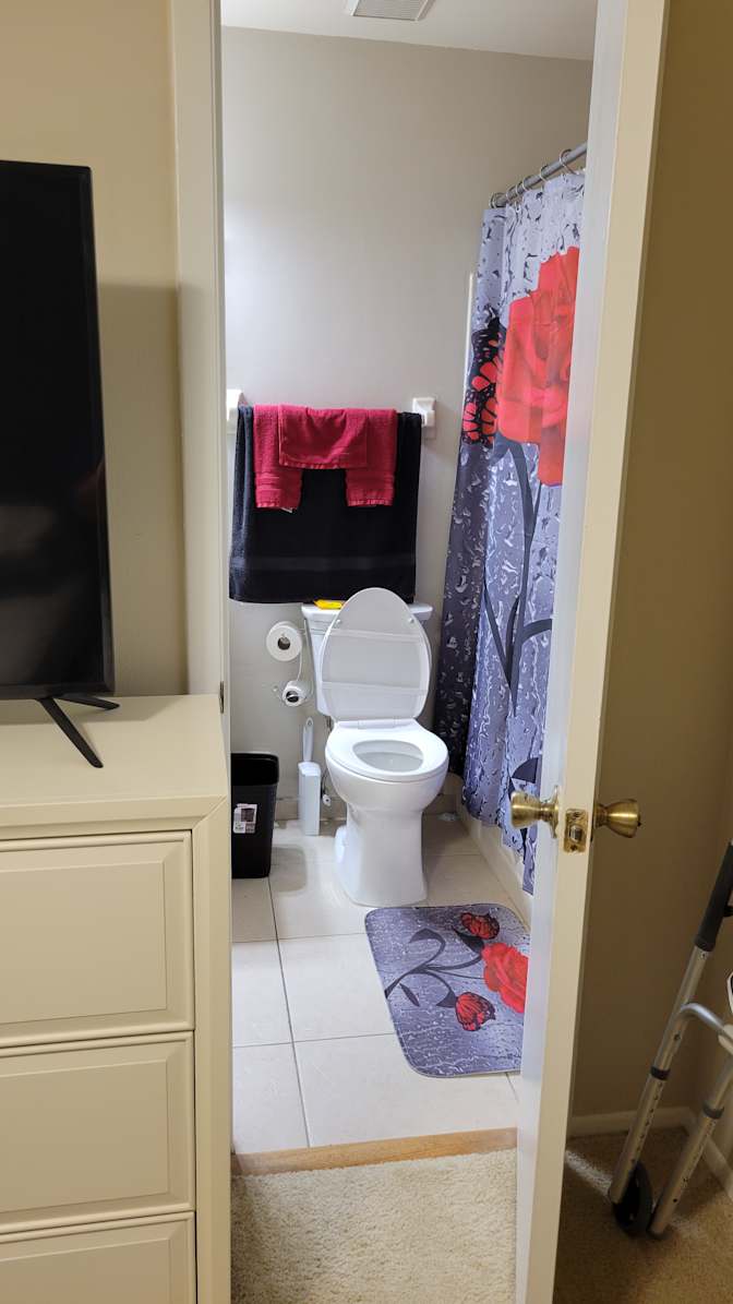 Mary's room