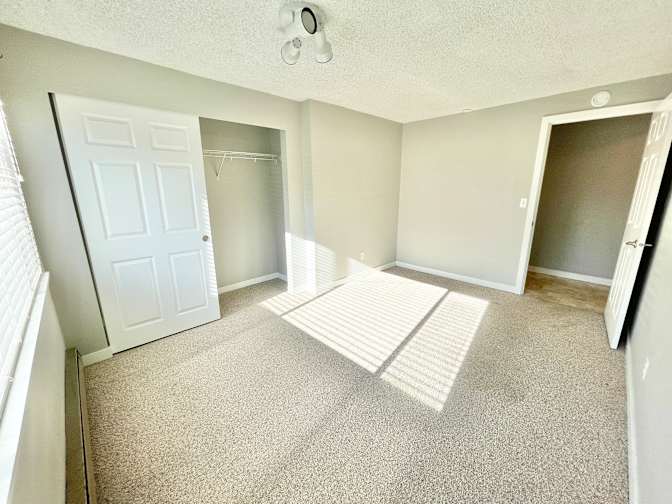 Liz's room