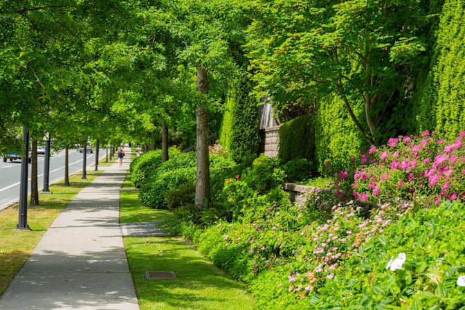 Mehdi's room