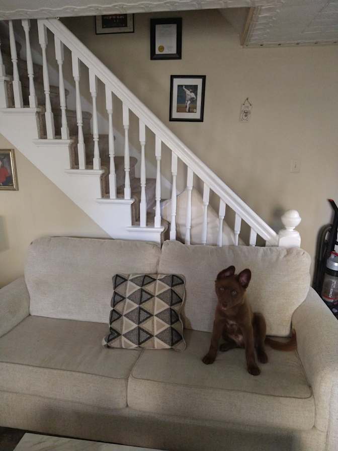 Dennis's room