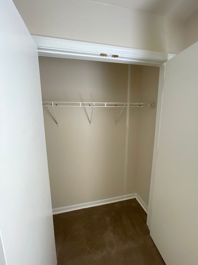 Loui's room