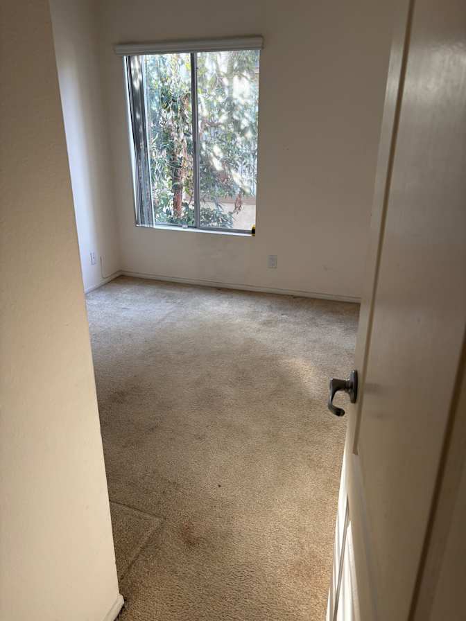 sunny's room
