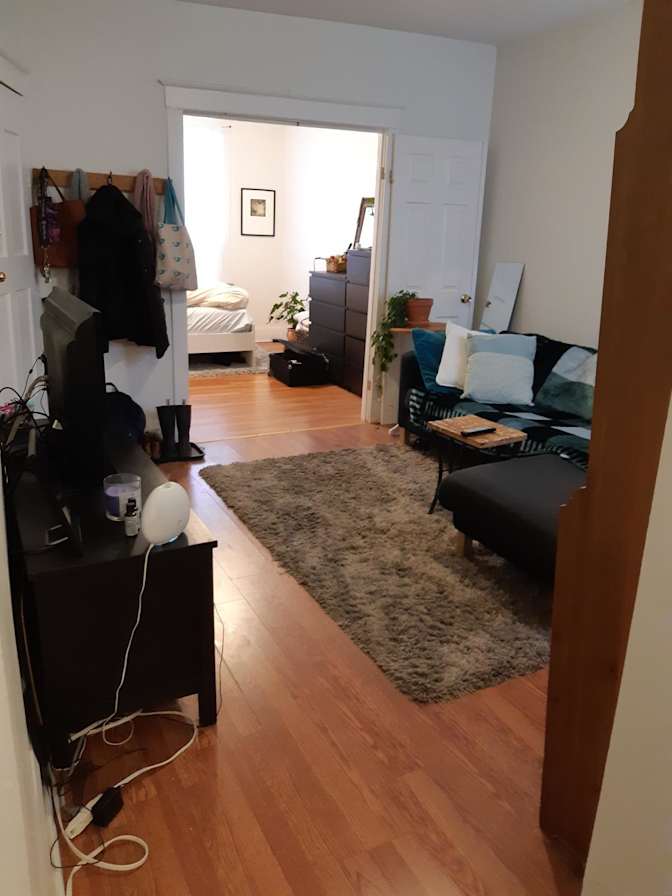 Moh's room