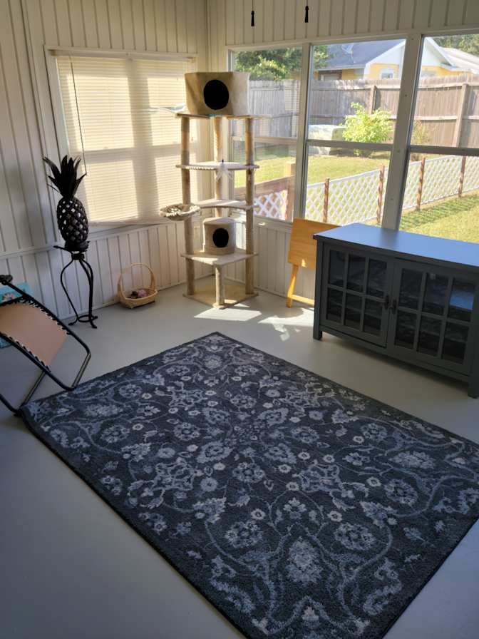 Lyne lheureux's room
