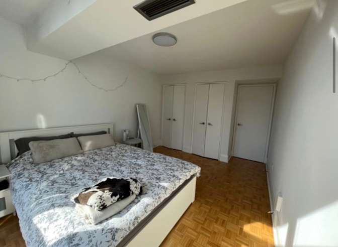 Andrea's room