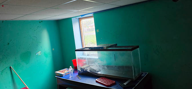 Dylan Boylan's room