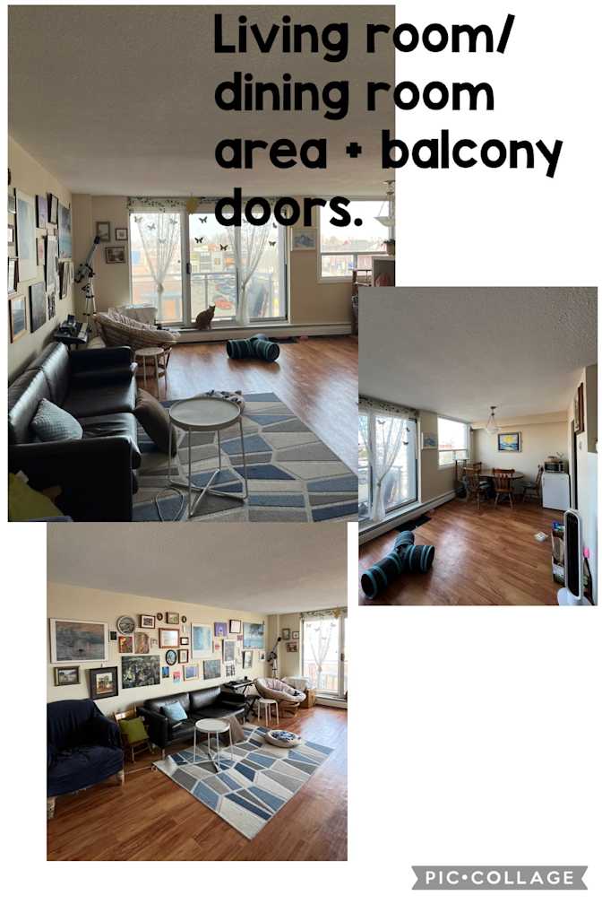 Siobhan's room