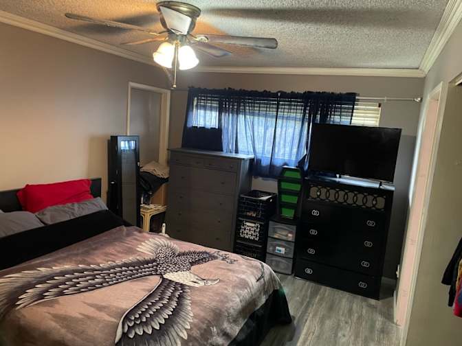 Michelle's room