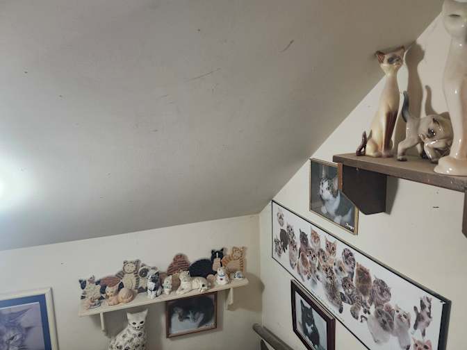 Norma's room