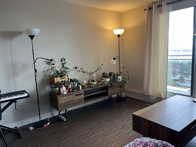 Hasti Rafijamal's room