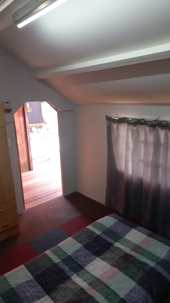 Willows on Bartlett's room