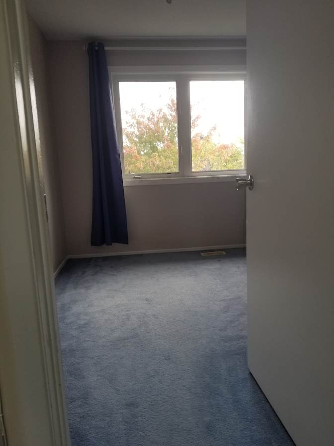 Abi's room